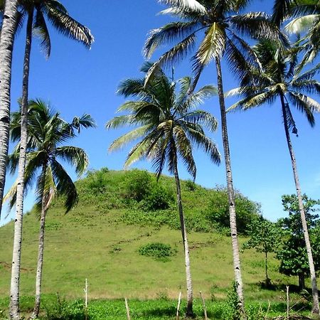 Bohol Sweet Home Bed And Breakfast Guindulman Экстерьер фото