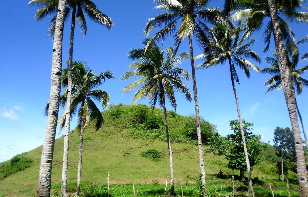 Bohol Sweet Home Bed And Breakfast Guindulman Экстерьер фото